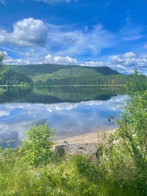 Sjarmerende Hus I Vennesla Zewnętrze zdjęcie