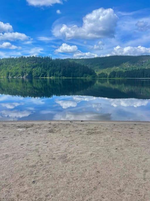 Sjarmerende Hus I Vennesla Zewnętrze zdjęcie